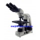 Upright biological microscopes